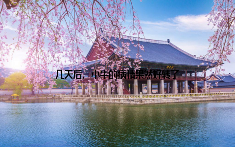 几天后, 小牛的病情果然好转了