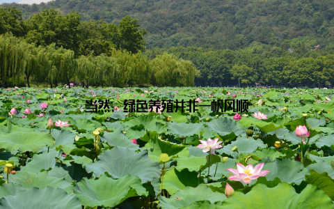 当然, 绿色养殖并非一帆风顺