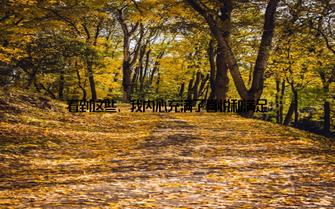 看到这些, 我内心充满了喜悦和满足