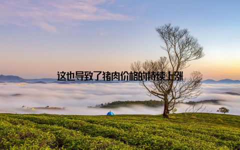 这也导致了猪肉价格的持续上涨