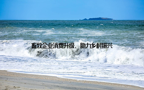 畜牧企业消费升级, 助力乡村振兴