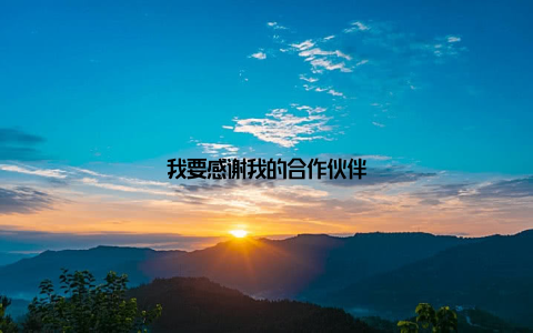 我要感谢我的合作伙伴