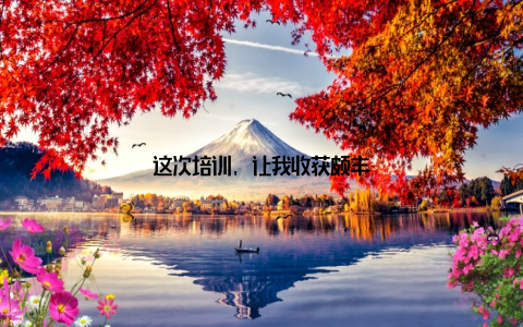 这次培训, 让我收获颇丰