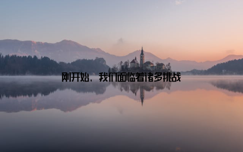 刚开始, 我们面临着诸多挑战