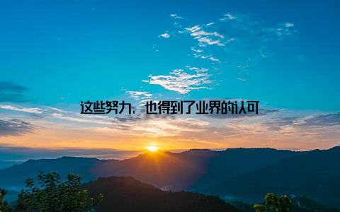 这些努力, 也得到了业界的认可