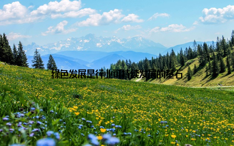 绿色发展是行业可持续发展的基石