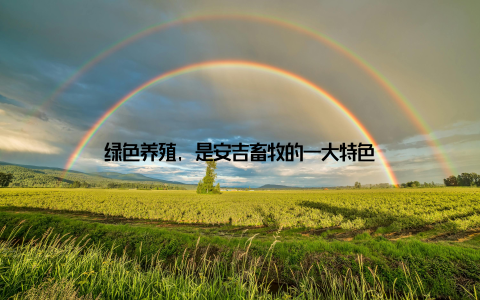 绿色养殖, 是安吉畜牧的一大特色