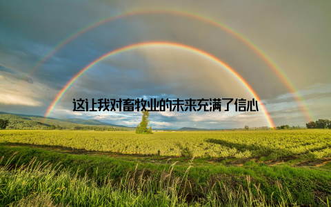 这让我对畜牧业的未来充满了信心