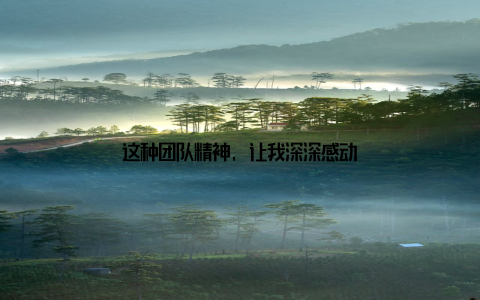 这种团队精神, 让我深深感动