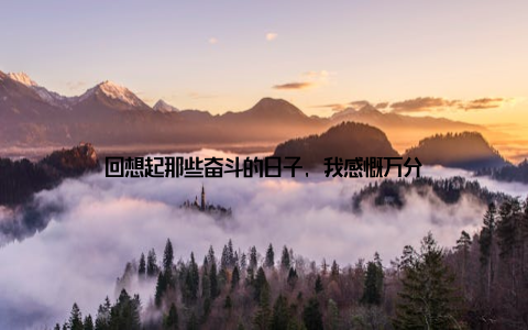 回想起那些奋斗的日子, 我感慨万分