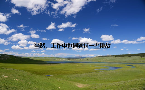 当然, 工作中也遇到过一些挑战