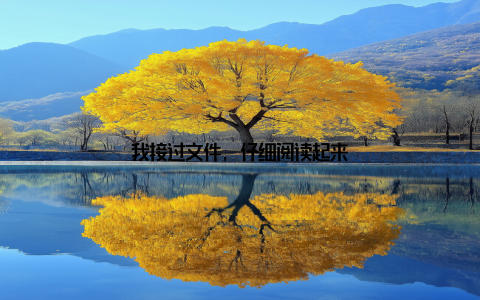 我接过文件, 仔细阅读起来