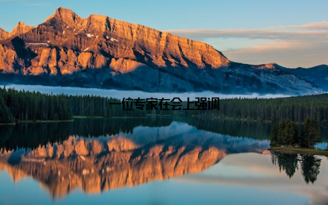 一位专家在会上强调