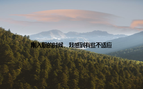 刚入职的时候, 我感到有些不适应