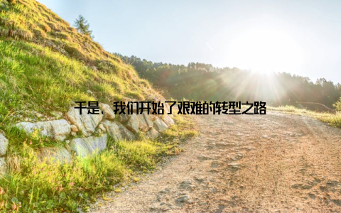 于是, 我们开始了艰难的转型之路