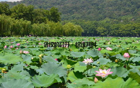 会议的召开, 恰逢其时