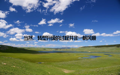 当然, 转型升级的过程并非一帆风顺