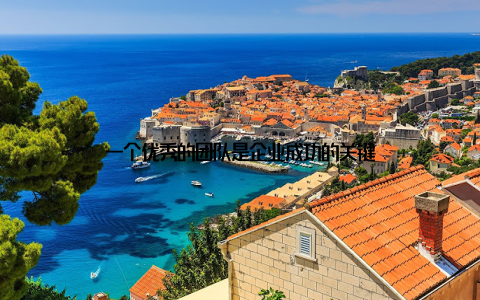 一个优秀的团队是企业成功的关键