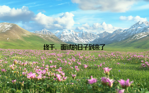 终于, 面试的日子到来了