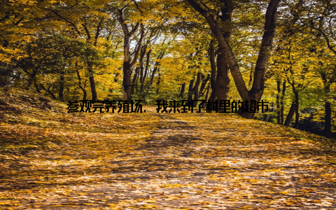 参观完养殖场, 我来到了村里的超市