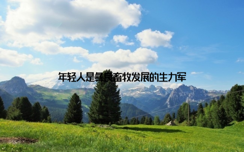 年轻人是彝良畜牧发展的生力军