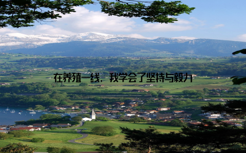 在养殖一线, 我学会了坚持与毅力