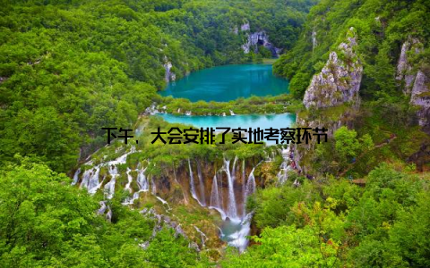 下午, 大会安排了实地考察环节