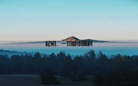 起初, 一切都很顺利