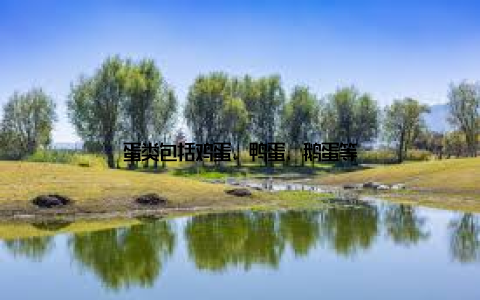 蛋类包括鸡蛋、鸭蛋、鹅蛋等