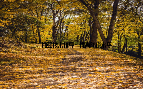 三、加强技术指导, 提高防疫水平