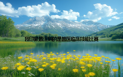 我印象最深刻的是兽医临床技能比赛