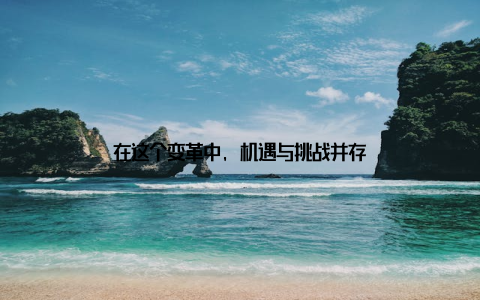 在这个变革中, 机遇与挑战并存