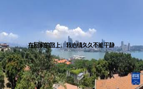 在回家的路上, 我心情久久不能平静