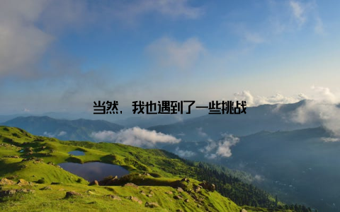 当然, 我也遇到了一些挑战