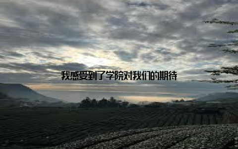 我感受到了学院对我们的期待