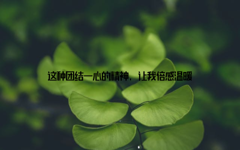这种团结一心的精神, 让我倍感温暖