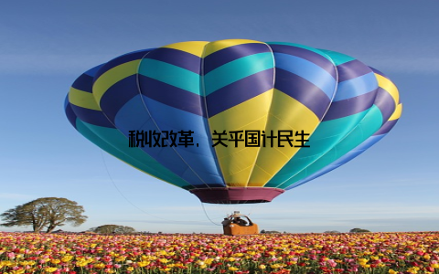 税收改革, 关乎国计民生