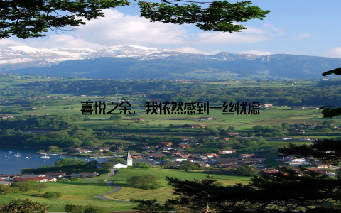 喜悦之余, 我依然感到一丝忧虑