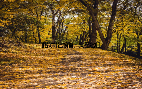 此次排名榜首, 实至名归