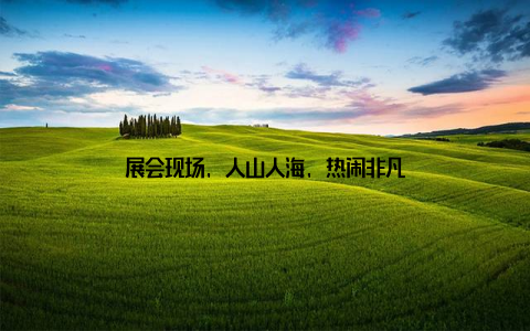 展会现场, 人山人海, 热闹非凡