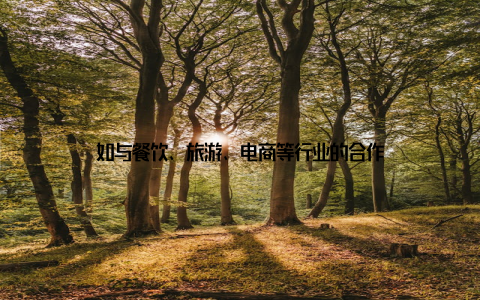 如与餐饮、旅游、电商等行业的合作