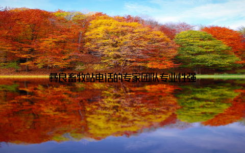 彝良畜牧站电话的专家团队专业性强