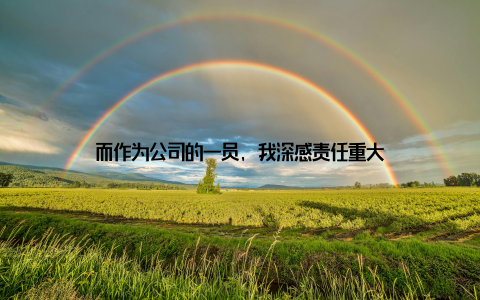 而作为公司的一员, 我深感责任重大