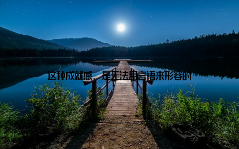 这种成就感, 是无法用言语来形容的