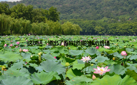 这句话, 道出了畜牧培训的核心价值