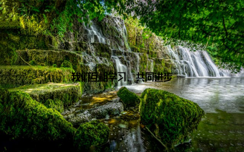 我们互相学习, 共同进步