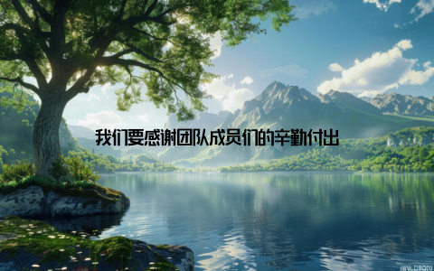 我们要感谢团队成员们的辛勤付出