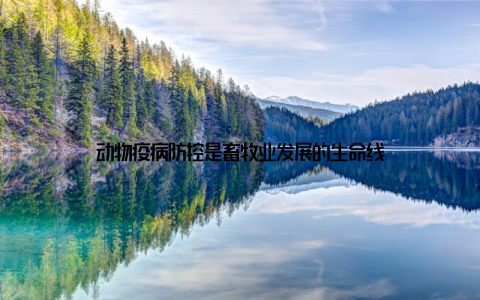 动物疫病防控是畜牧业发展的生命线