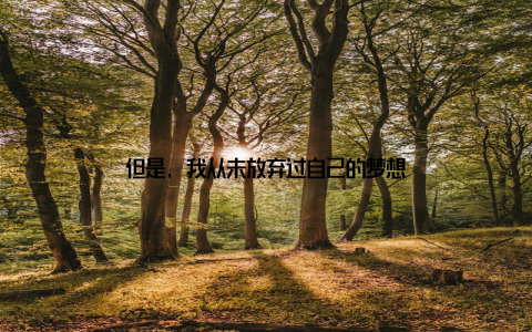 但是, 我从未放弃过自己的梦想